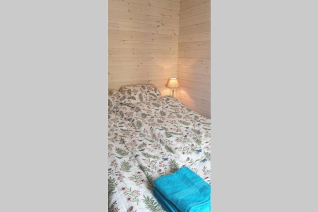 Nydelig Hytte I Kabelvag Lofoten Luaran gambar