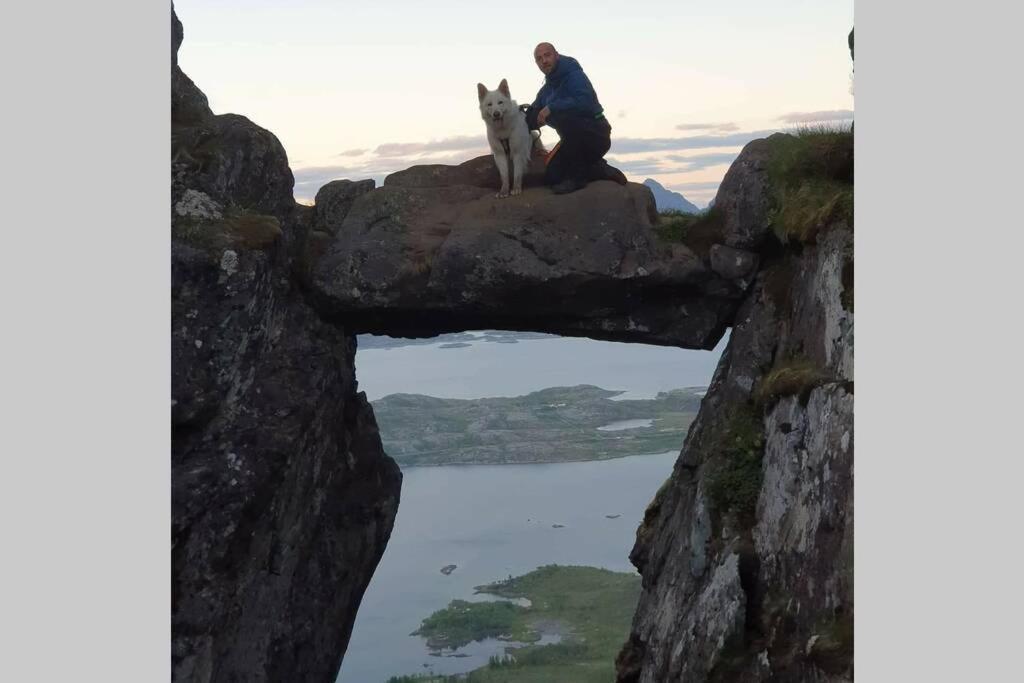 Nydelig Hytte I Kabelvag Lofoten Luaran gambar