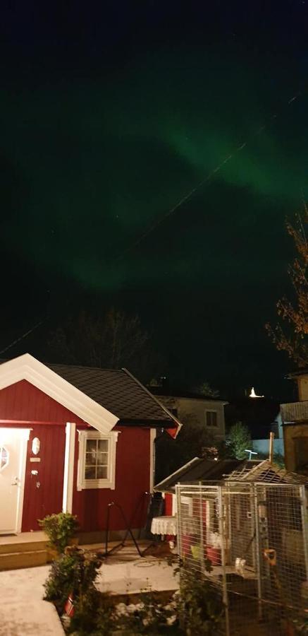 Nydelig Hytte I Kabelvag Lofoten Luaran gambar